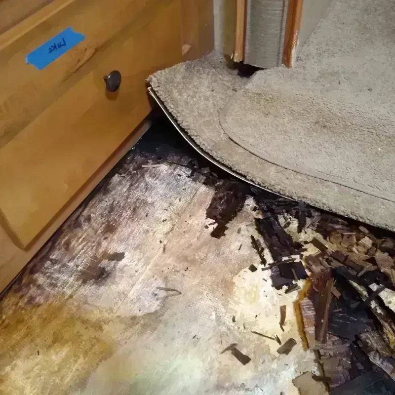 Wood Floor Water Damage in Michigan City, IN